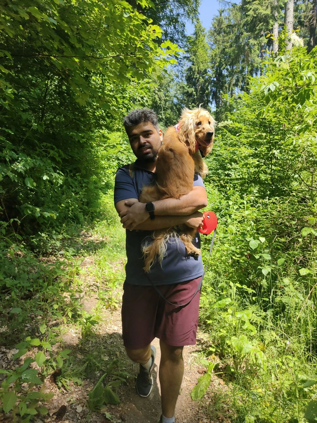image-9