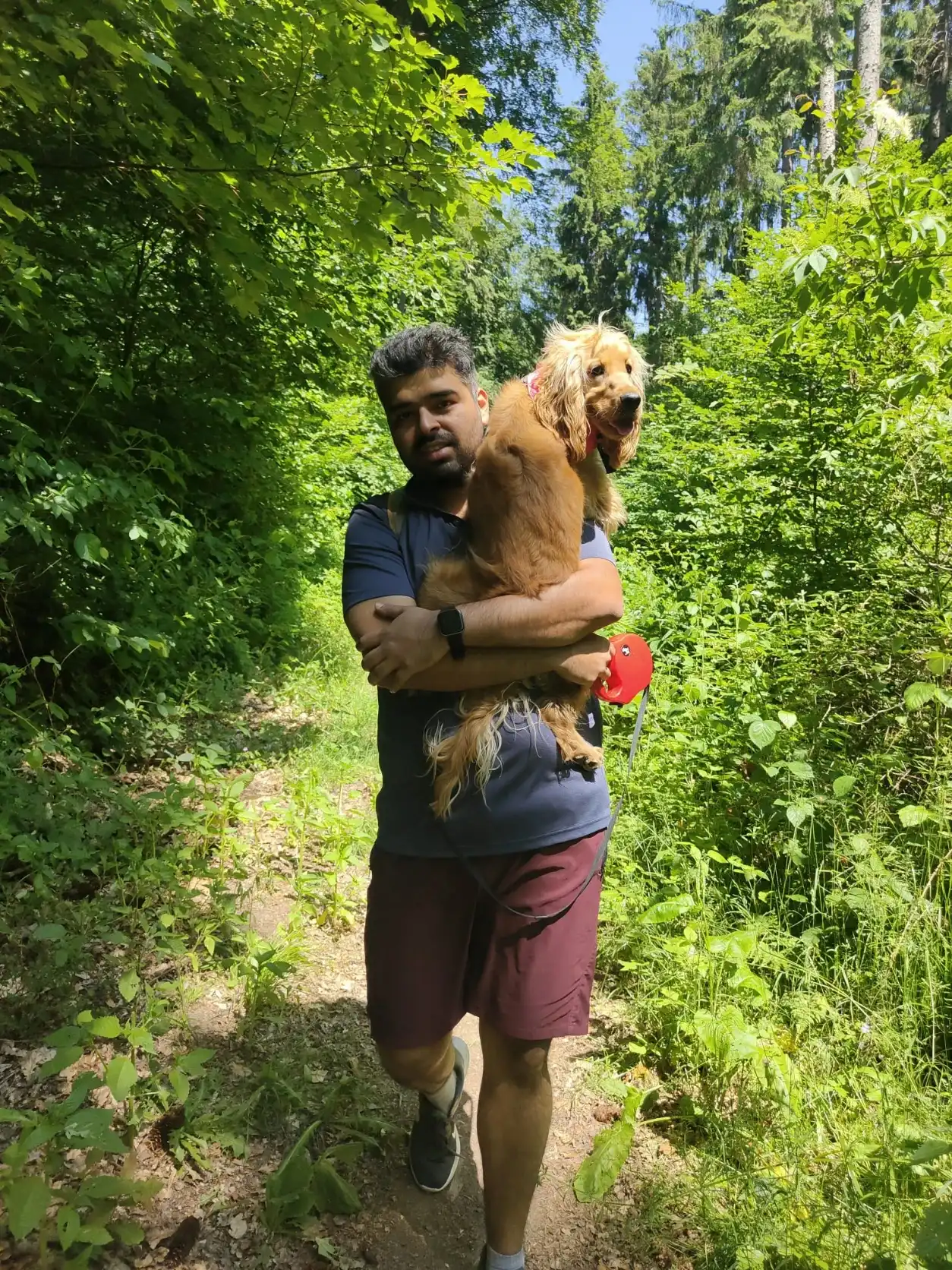 image-9