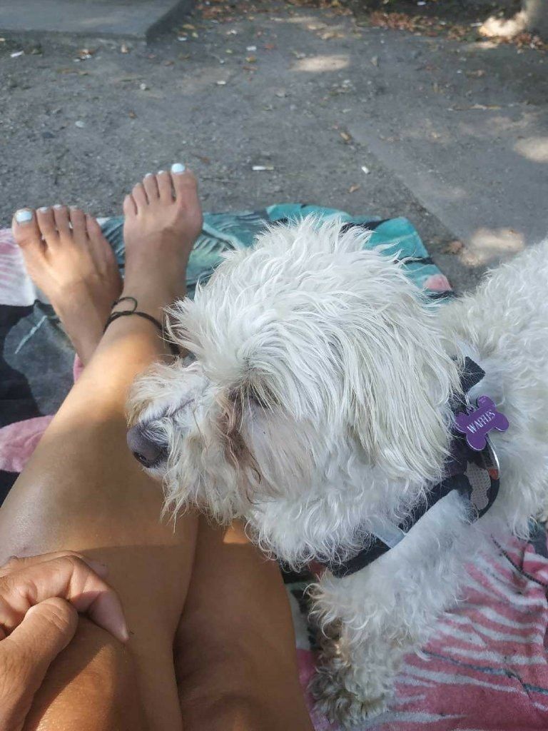 image-4