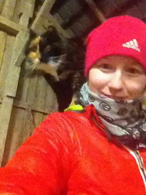 image-8