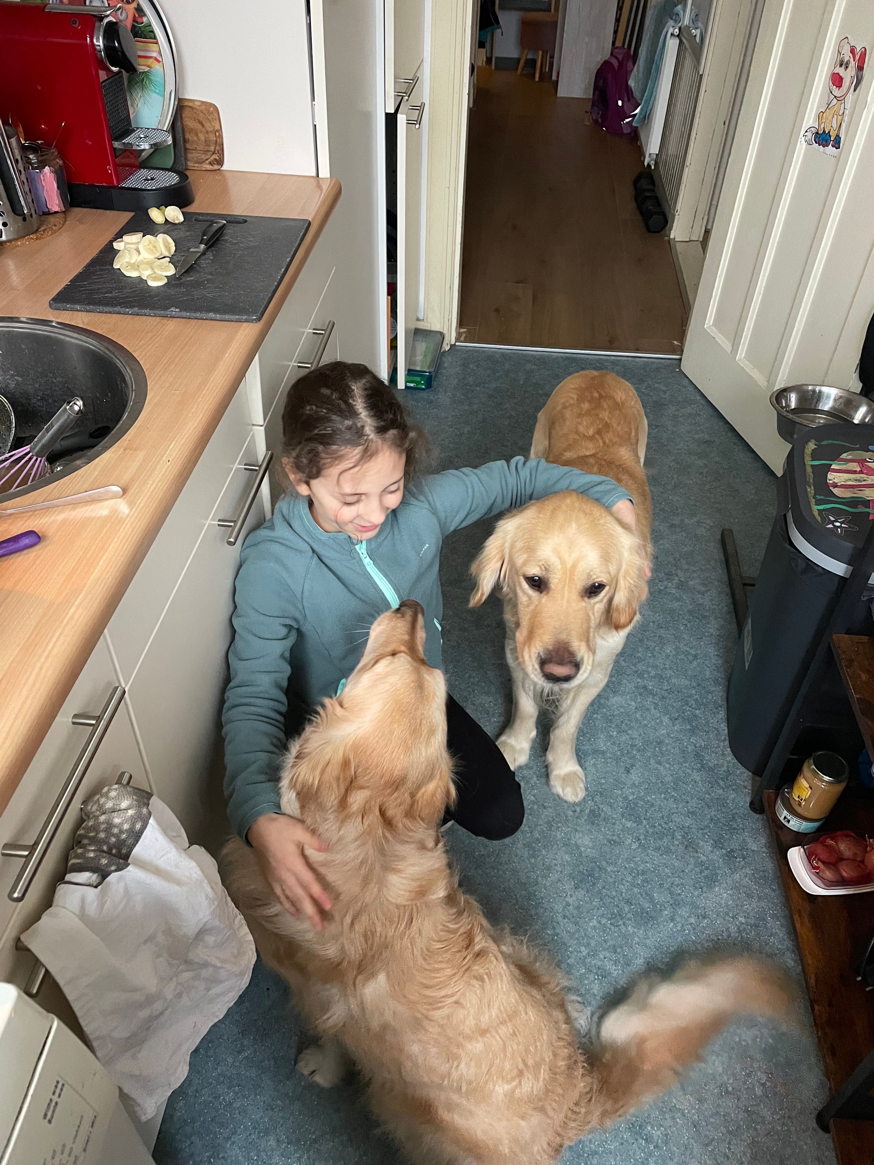 image-20
