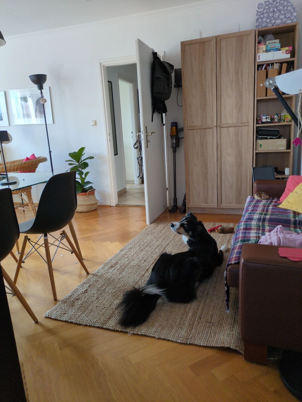 image-11