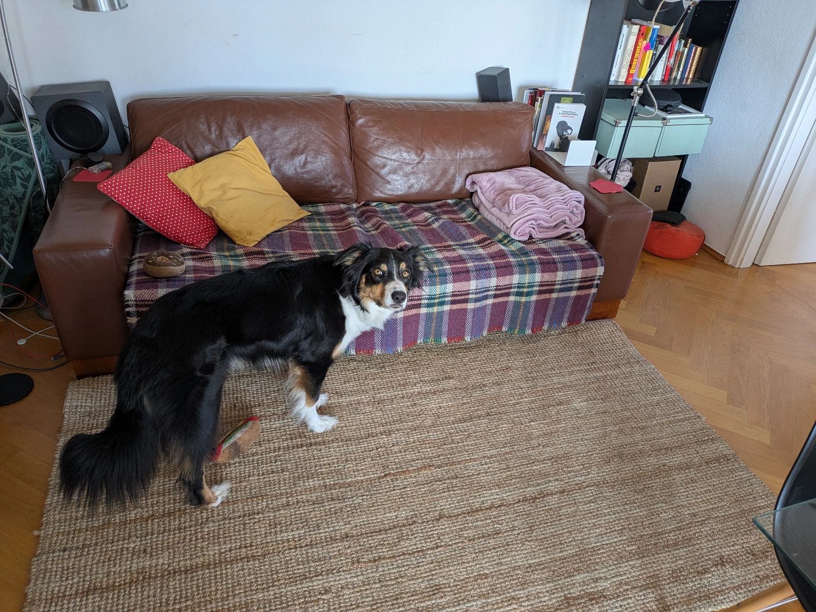 image-10