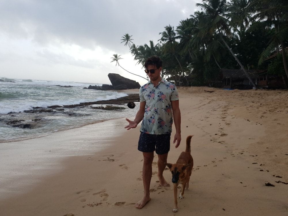 image-4
