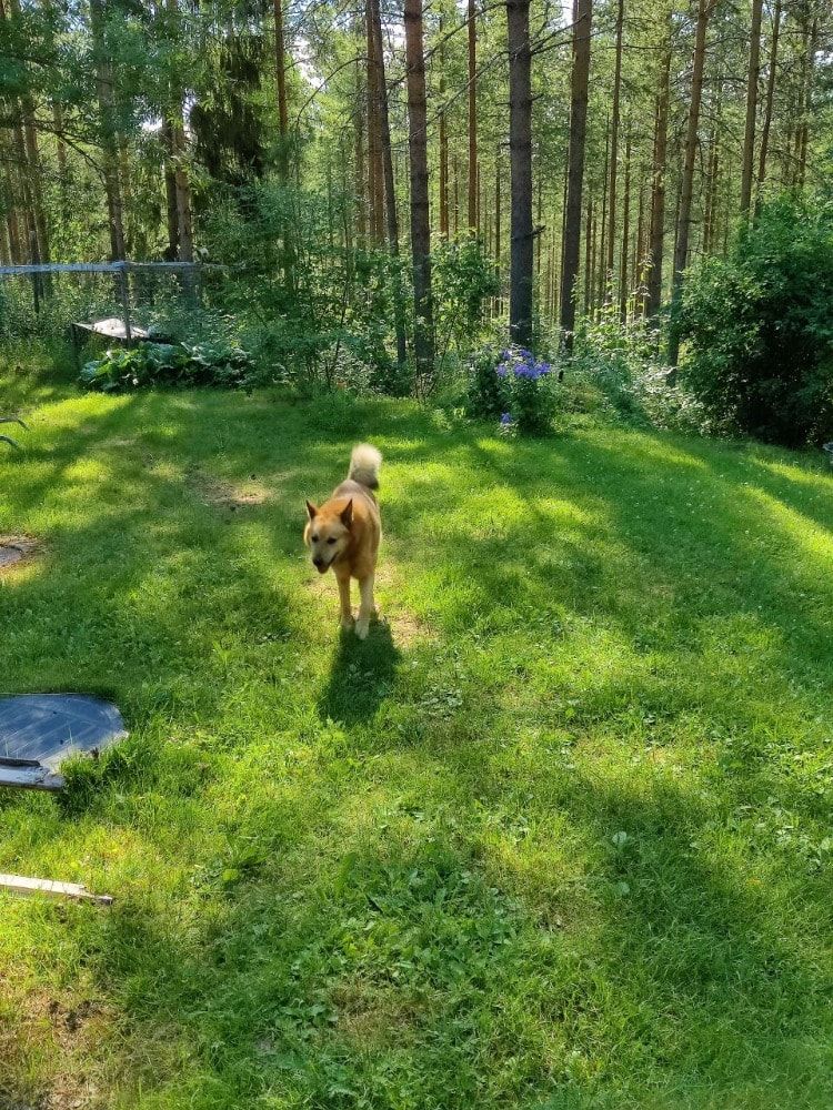 image-6
