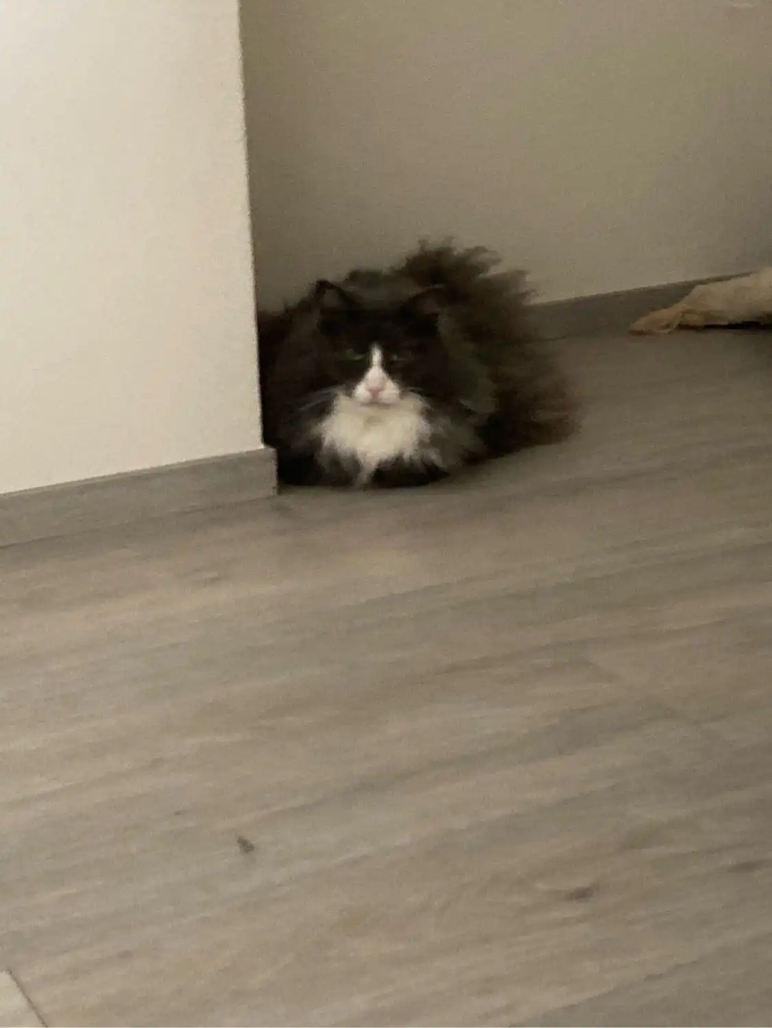 image-10