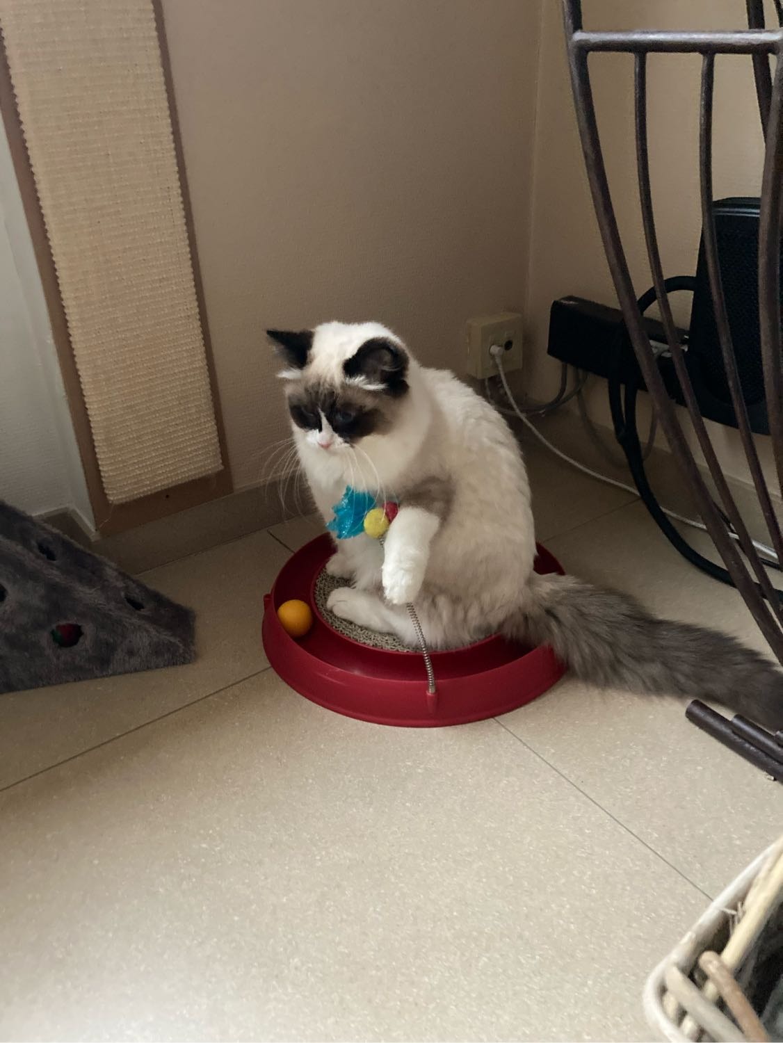 image-16