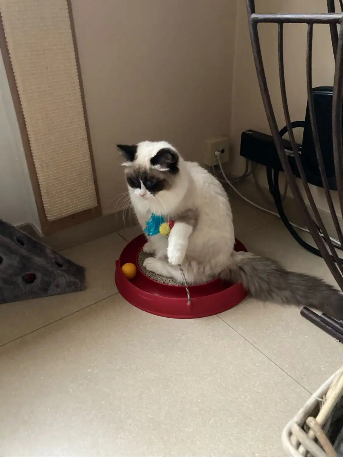 image-16