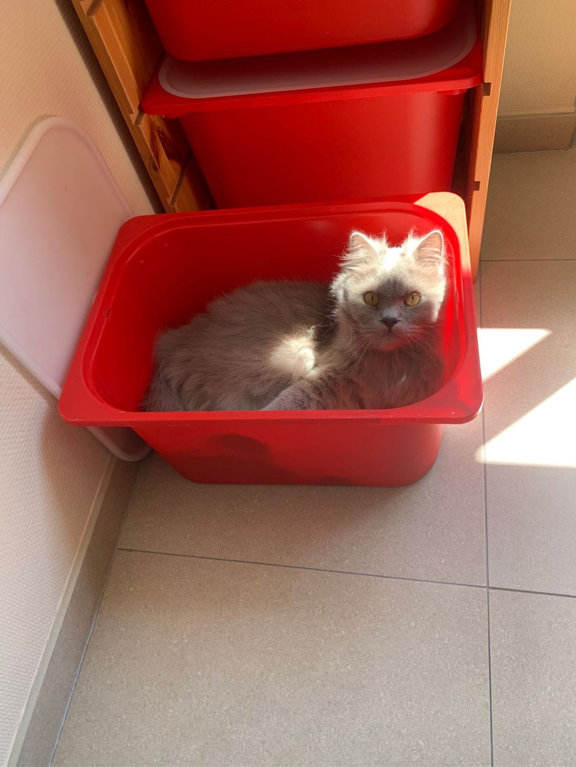 image-8