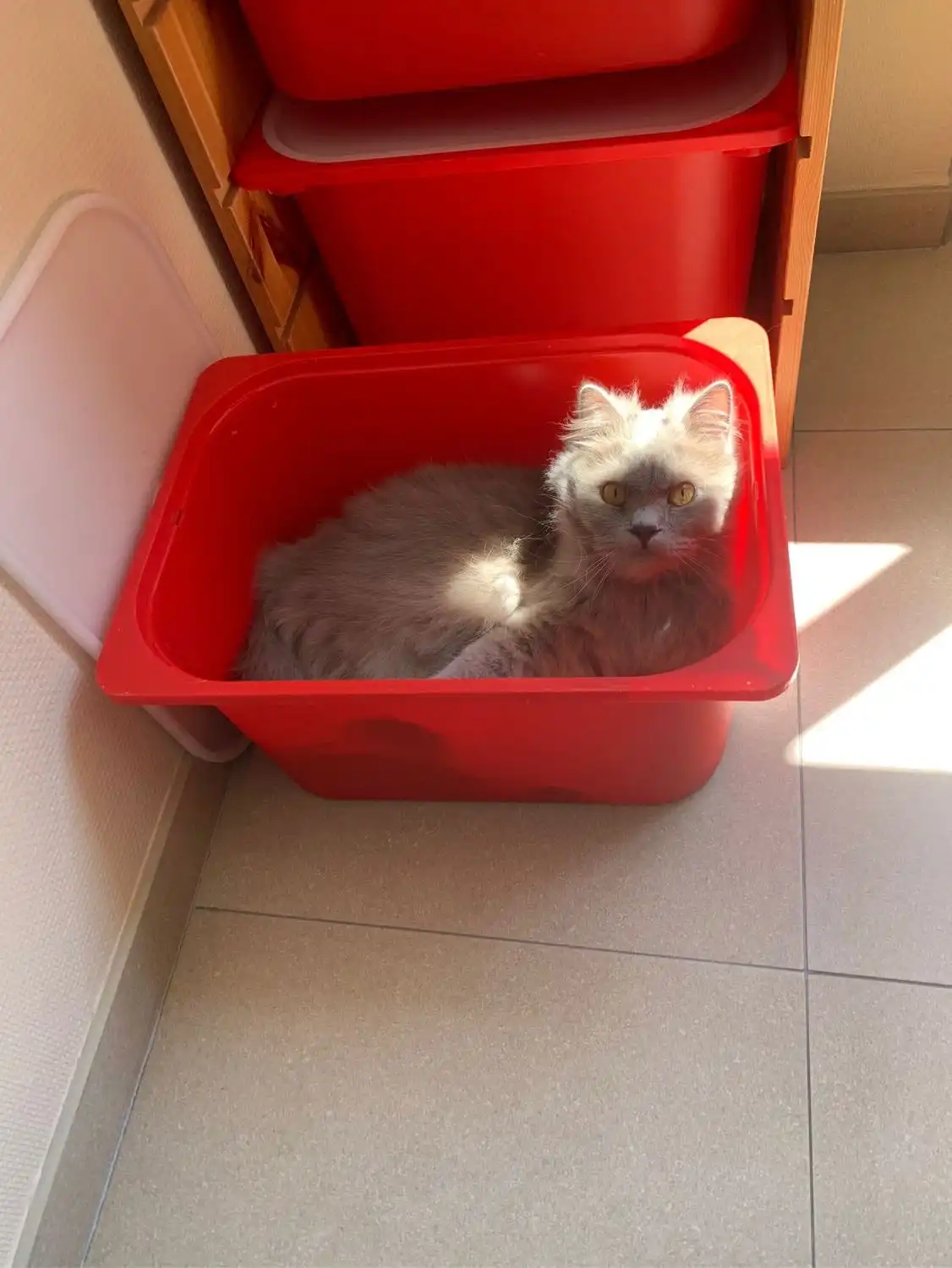image-8