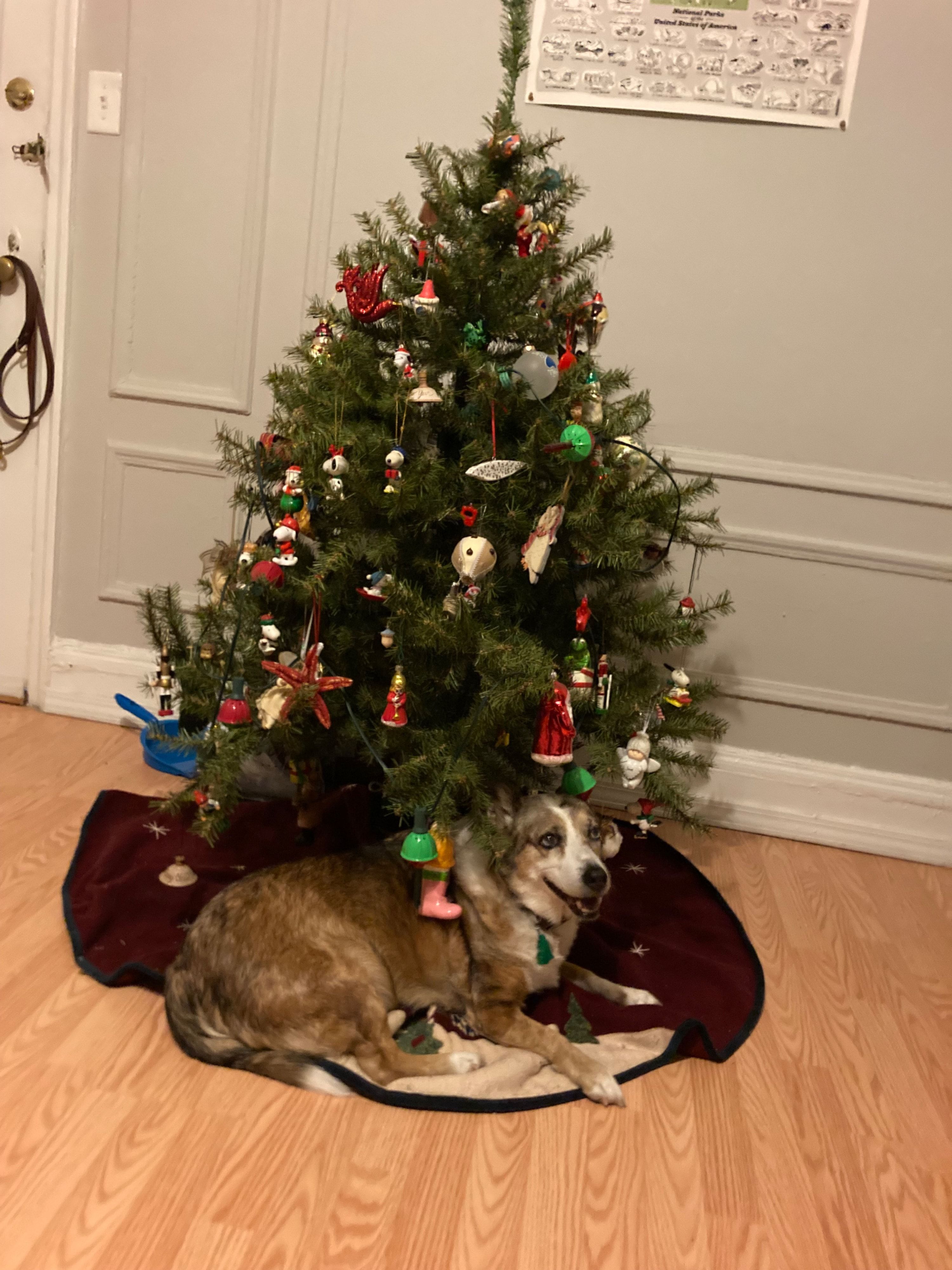 image-6