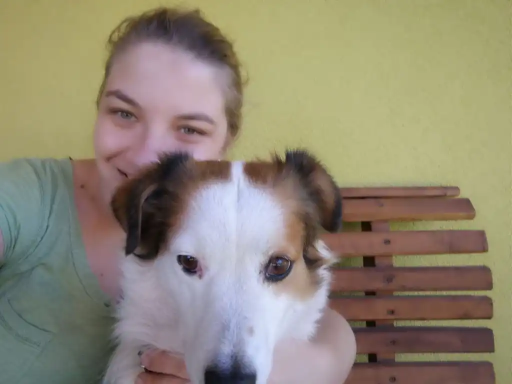 image-5