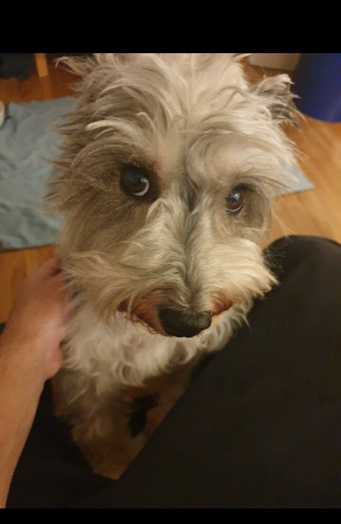 image-7