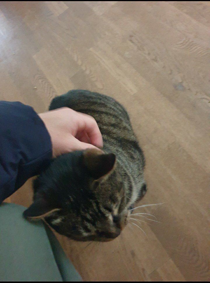 image-8