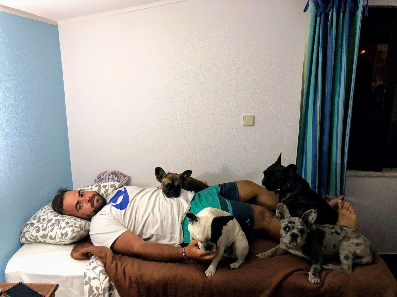 image-7