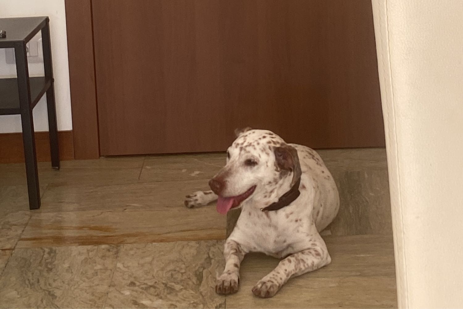 image-8