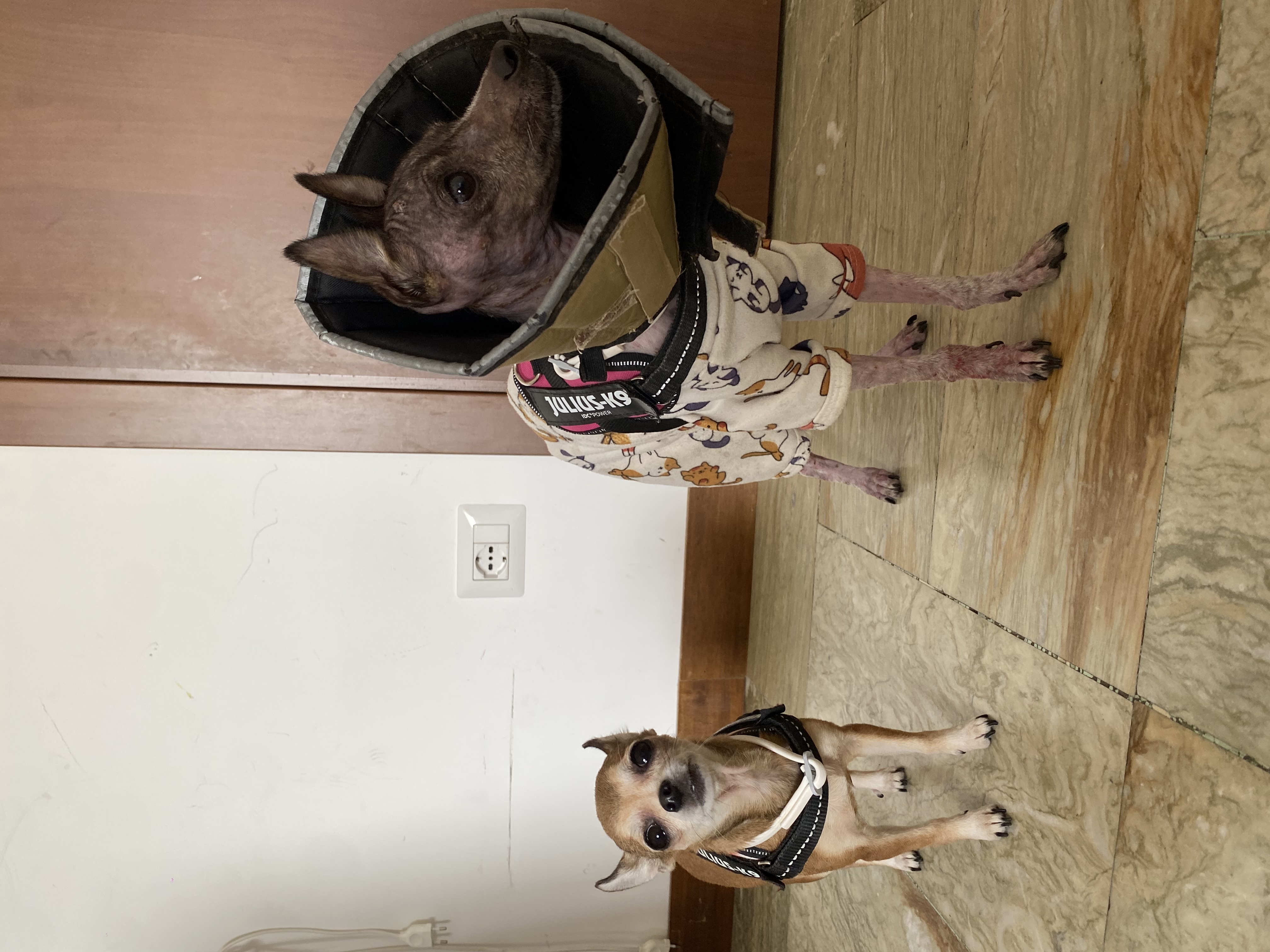 image-34