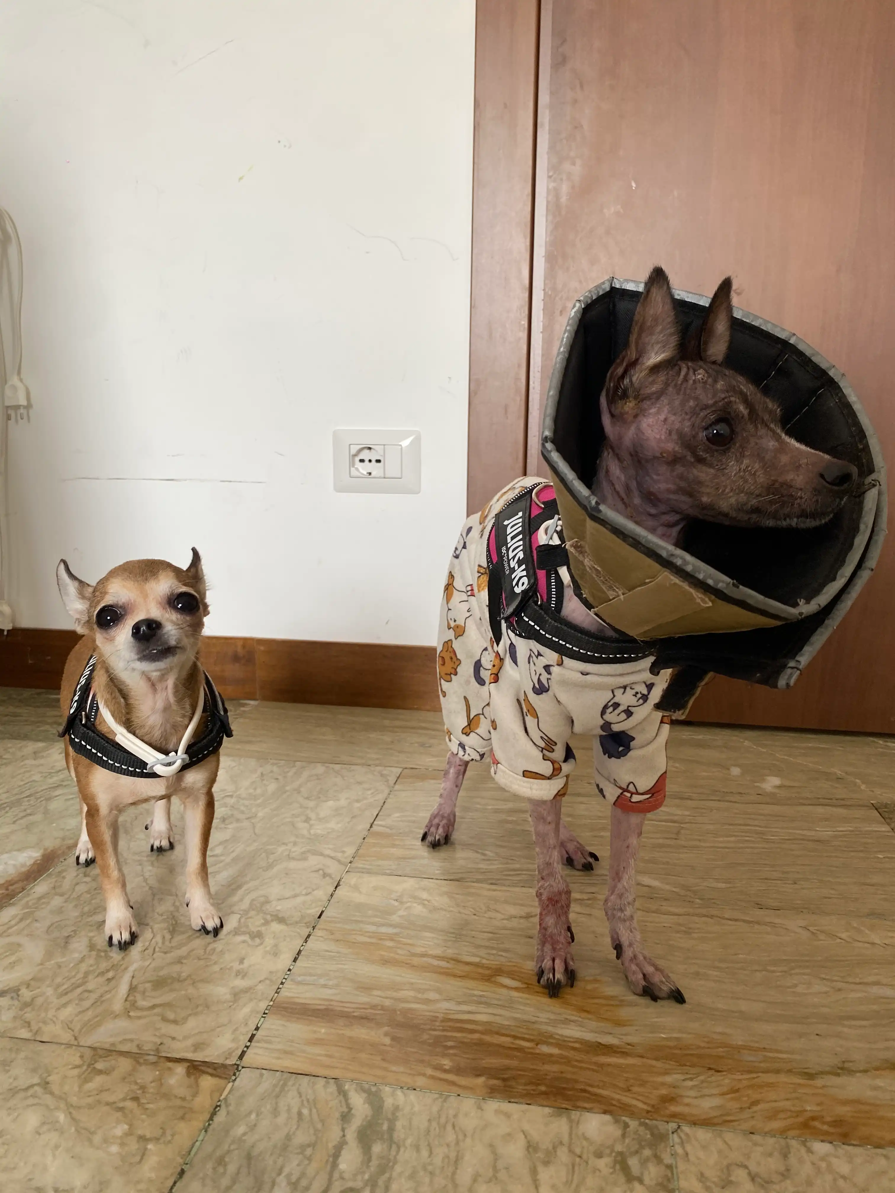 image-34