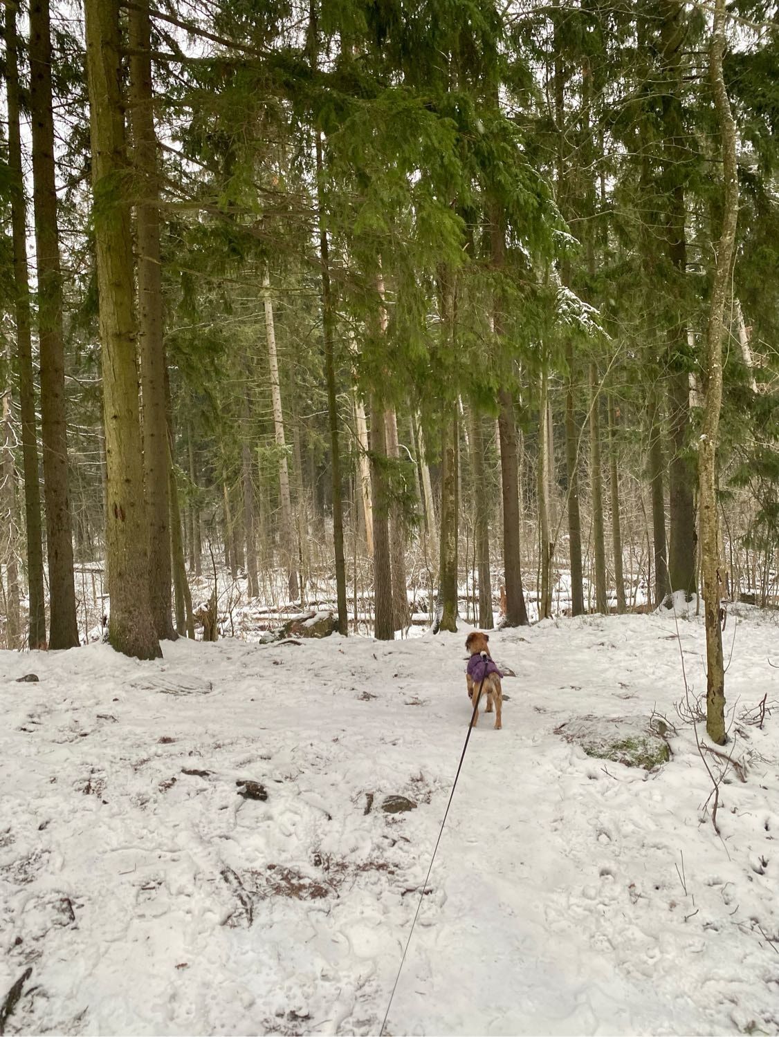 image-5
