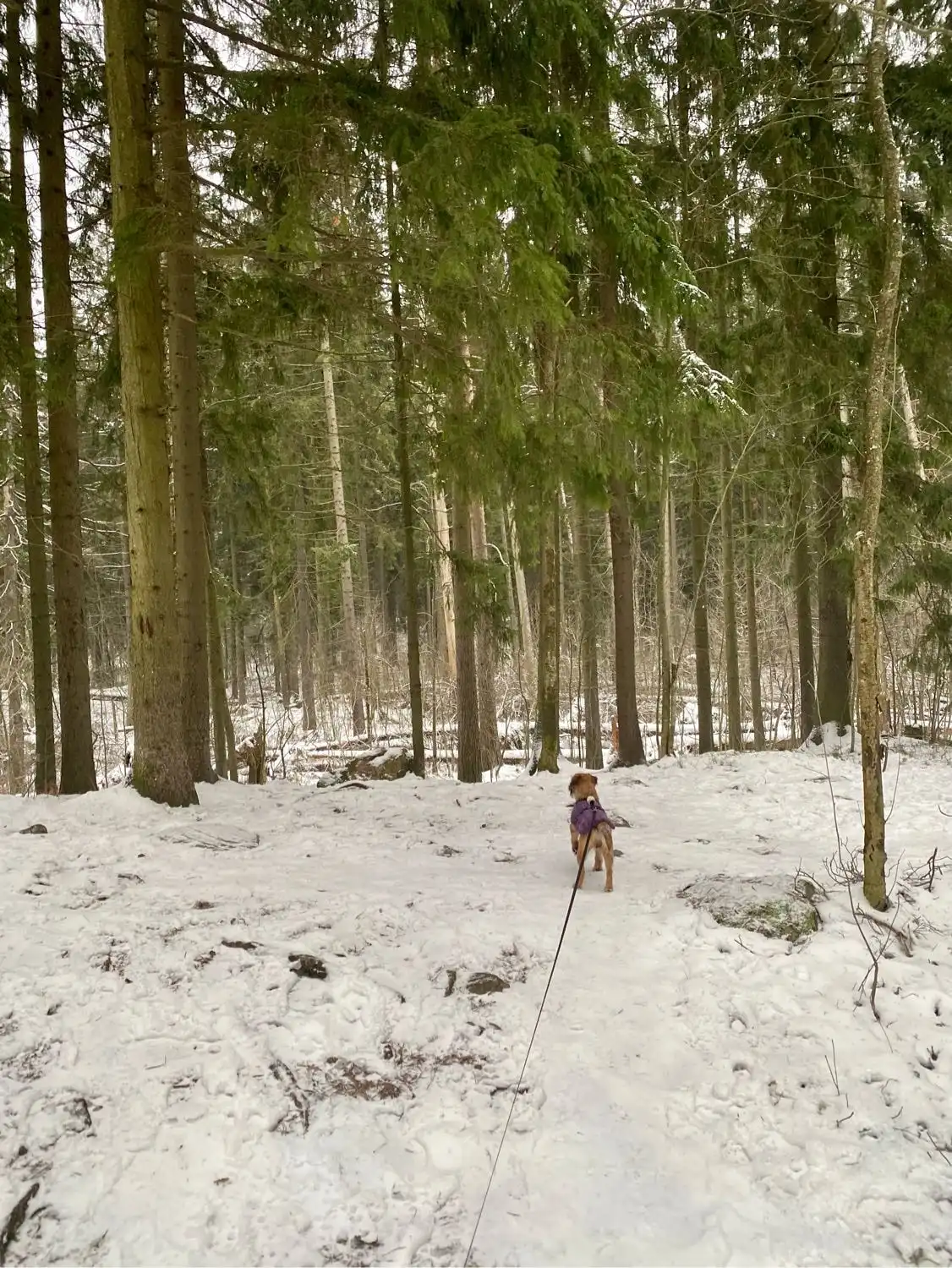 image-5