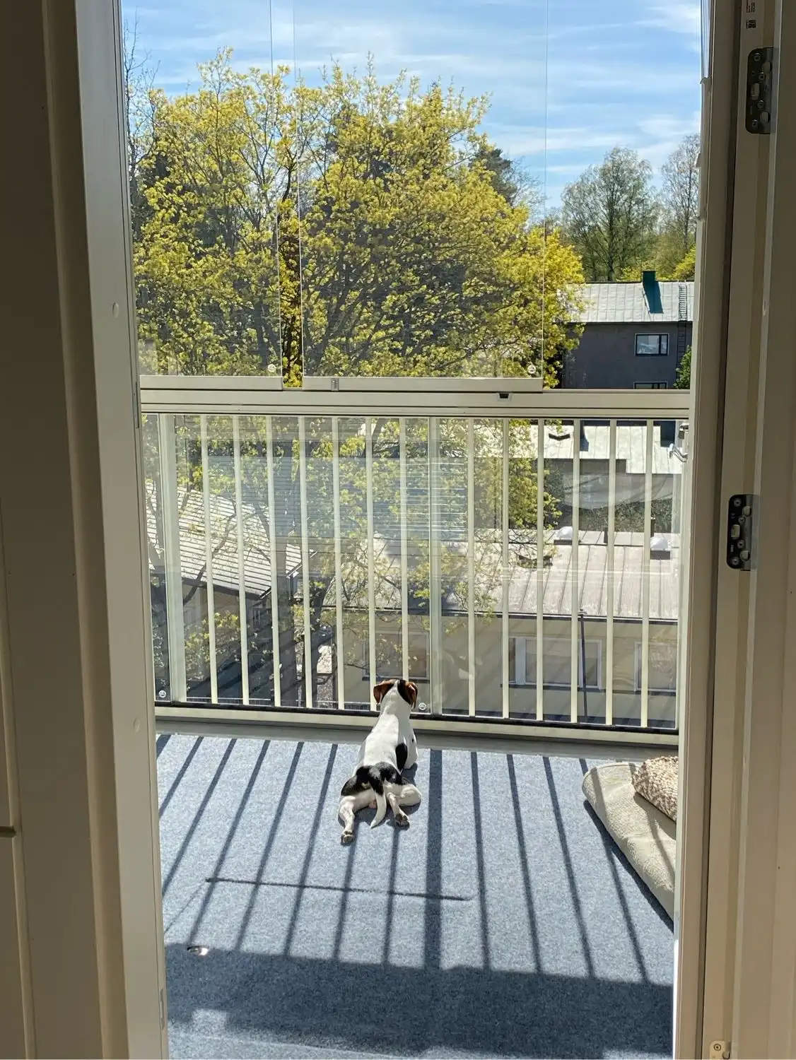 image-7