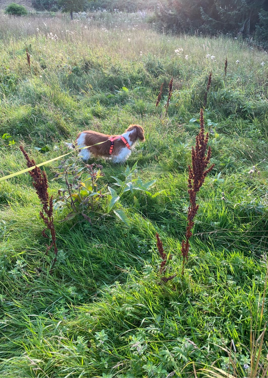 image-6