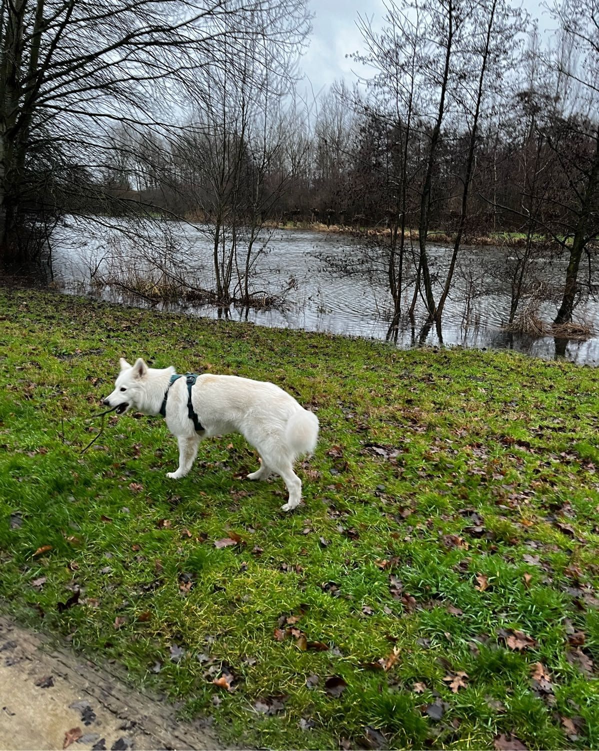 image-5