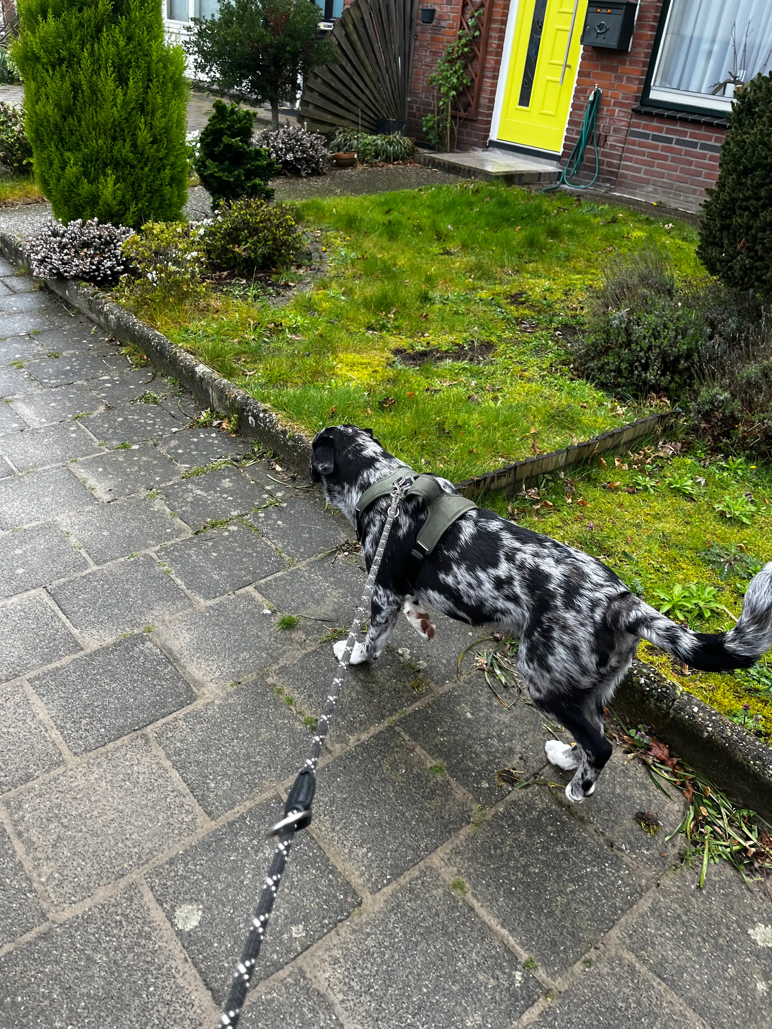 image-23