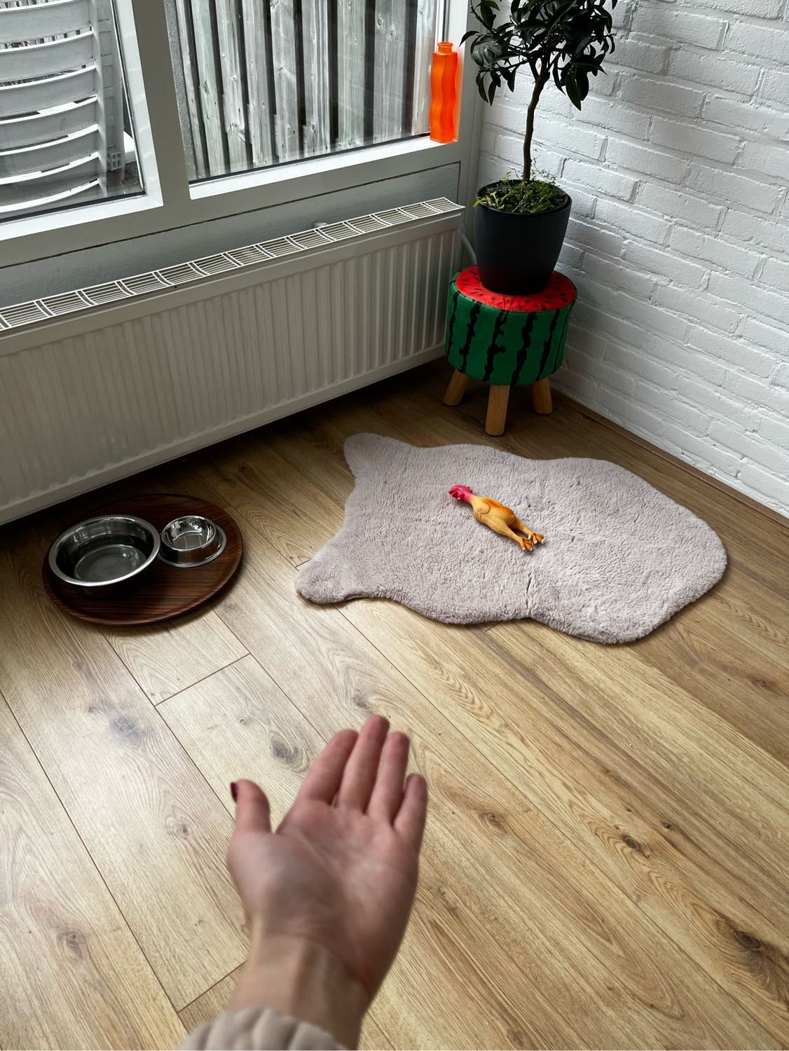image-7