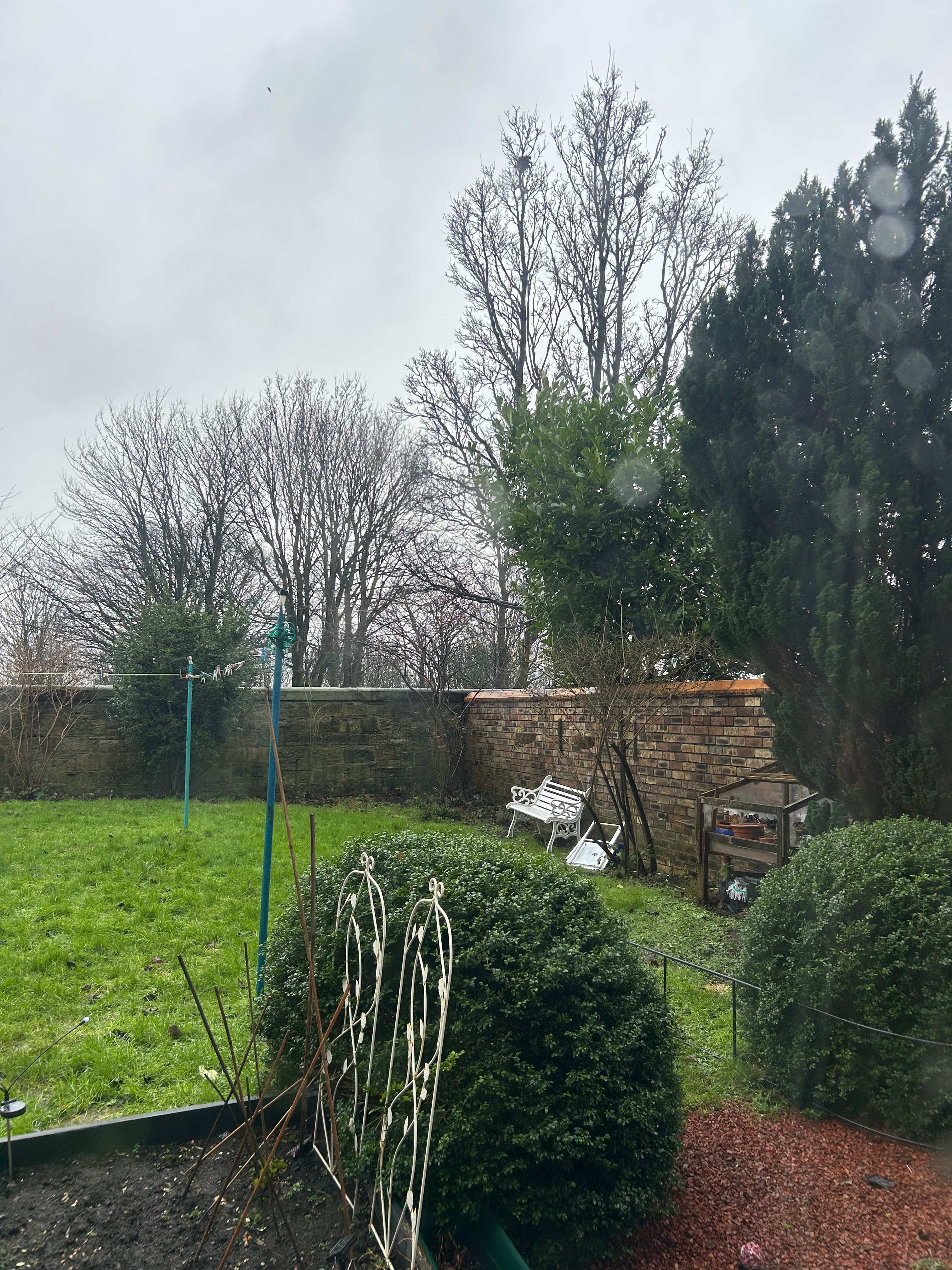 image-37