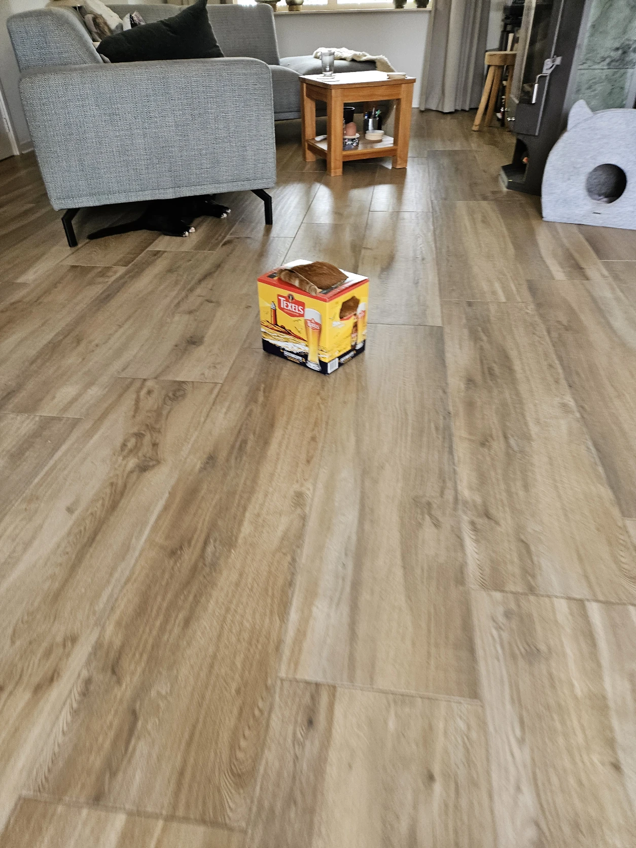 image-19