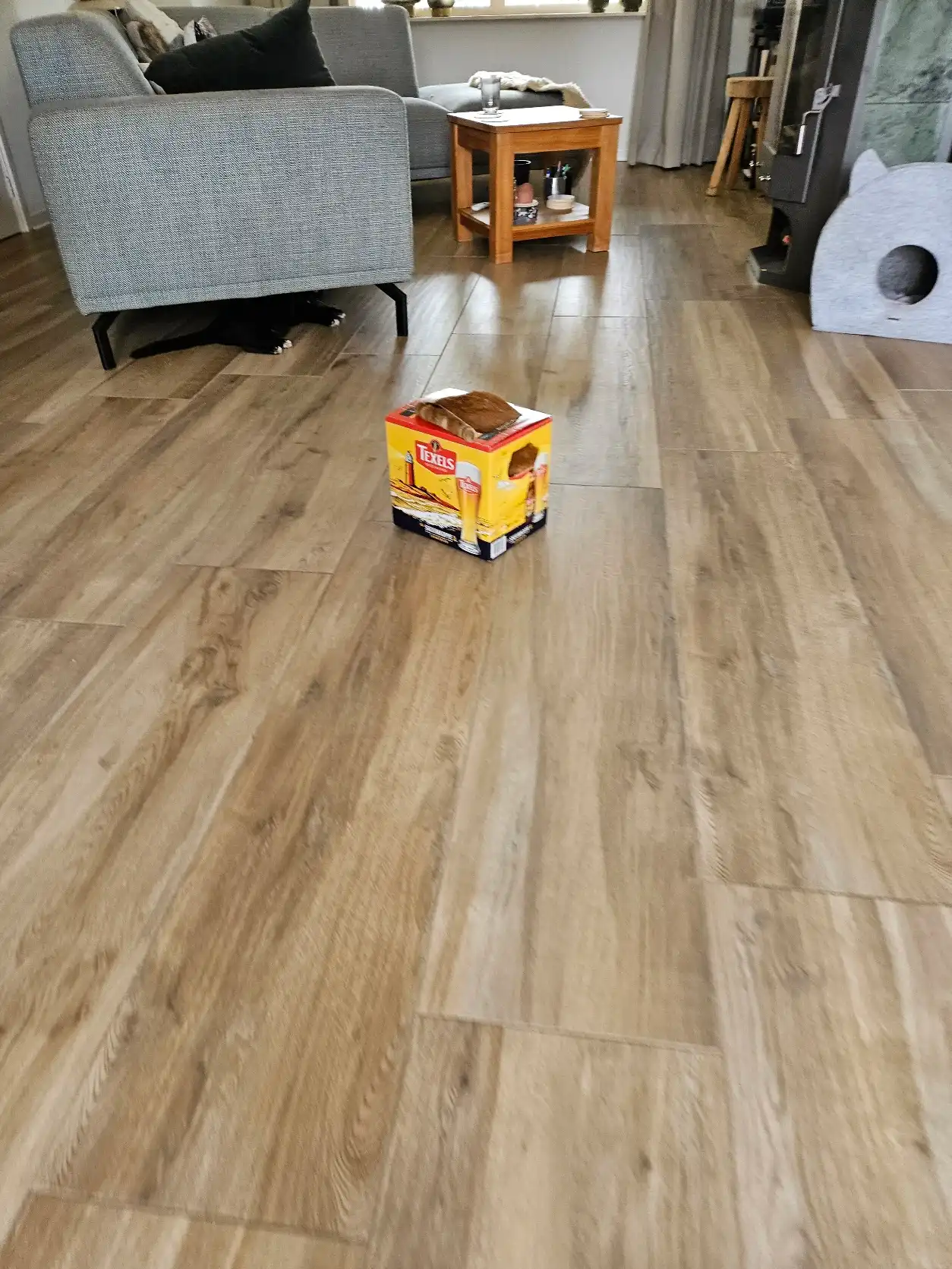 image-19