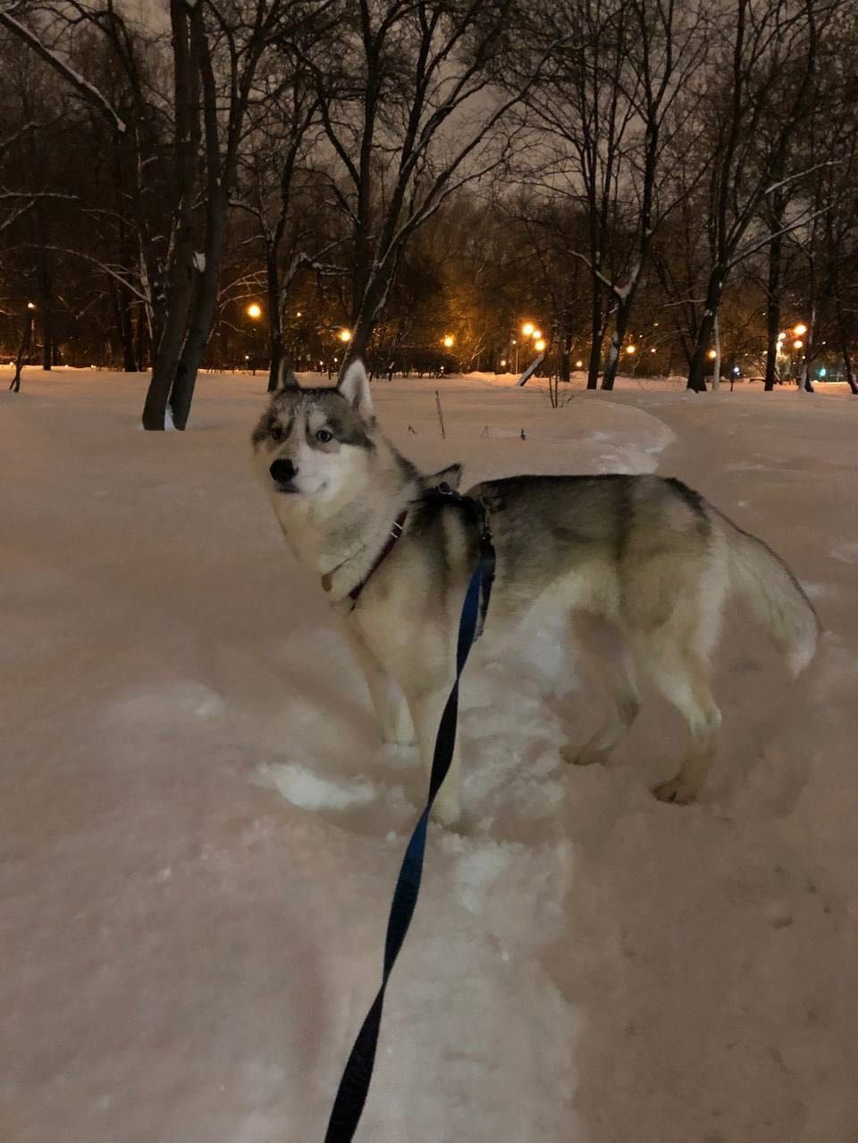 image-8