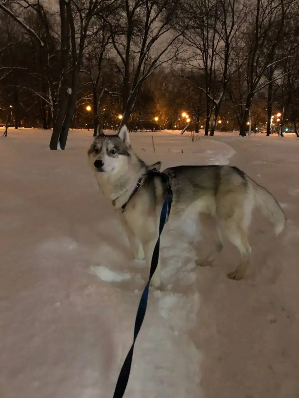 image-8