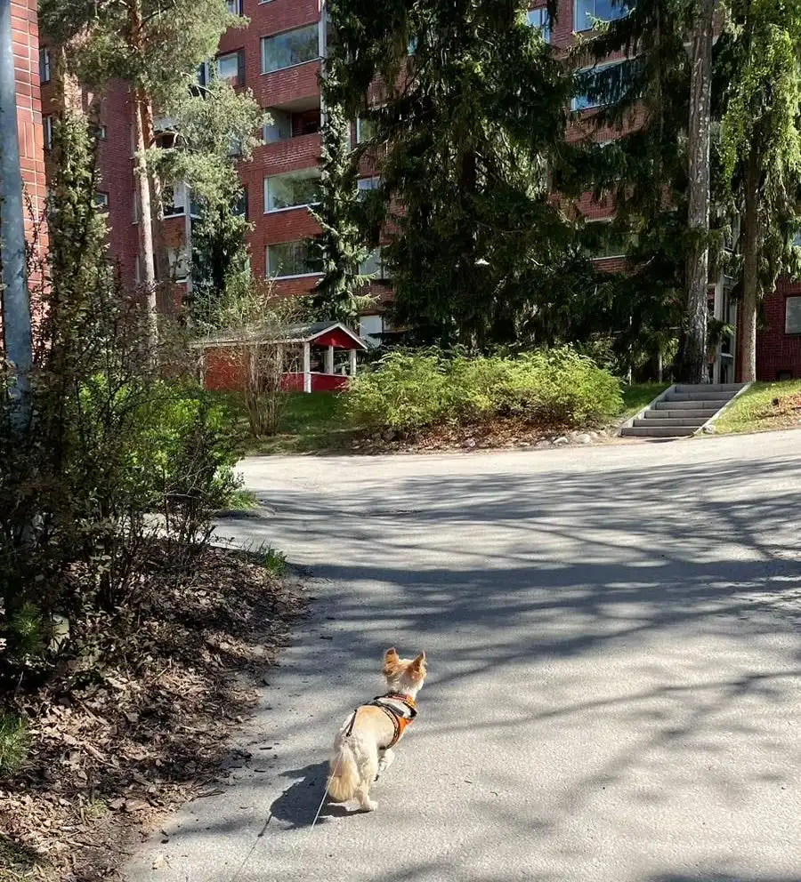 image-24