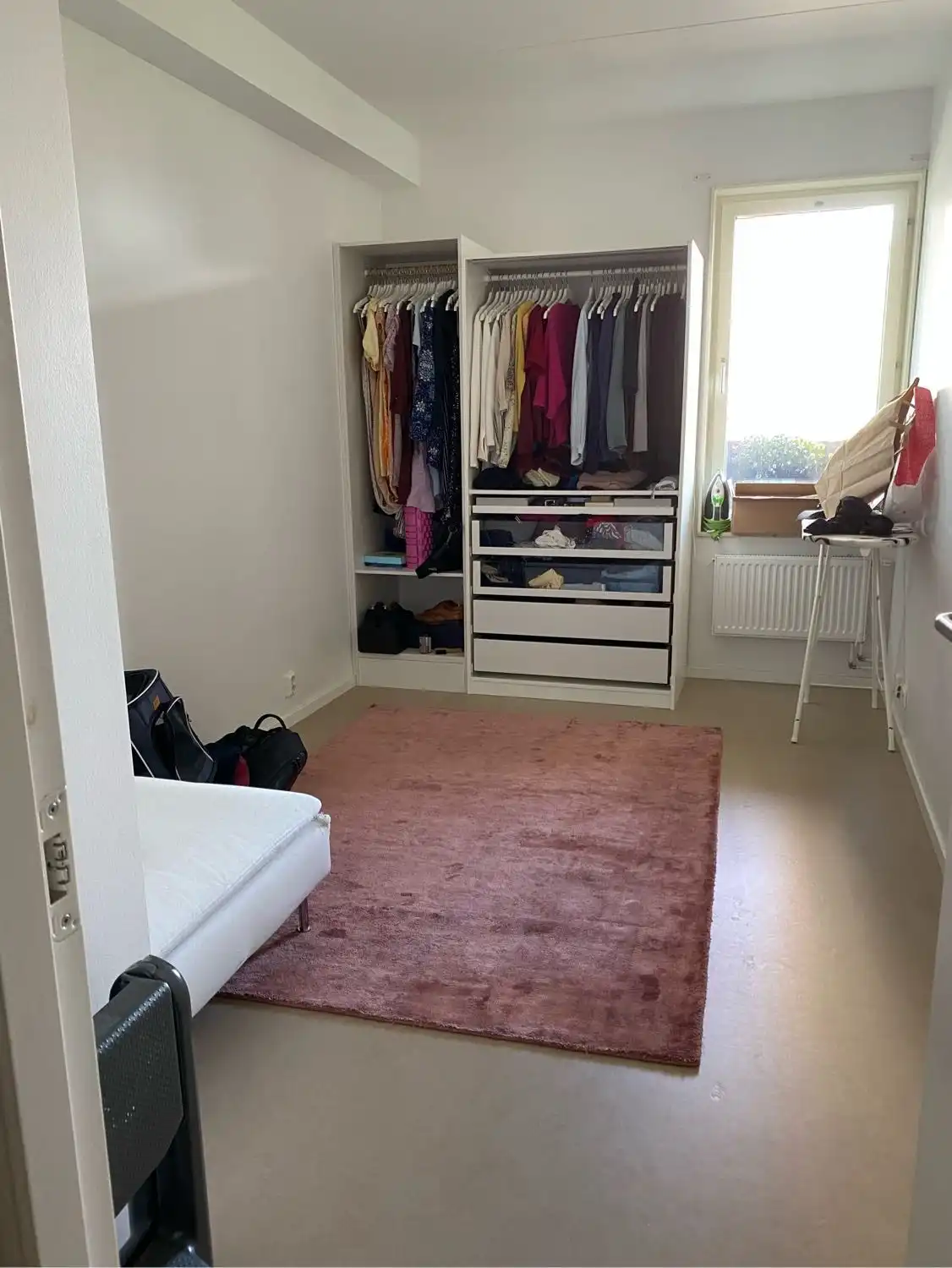 image-19