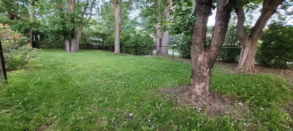 image-18
