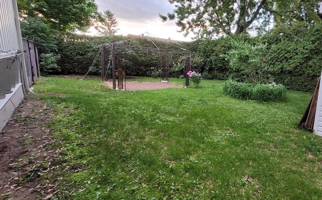 image-20