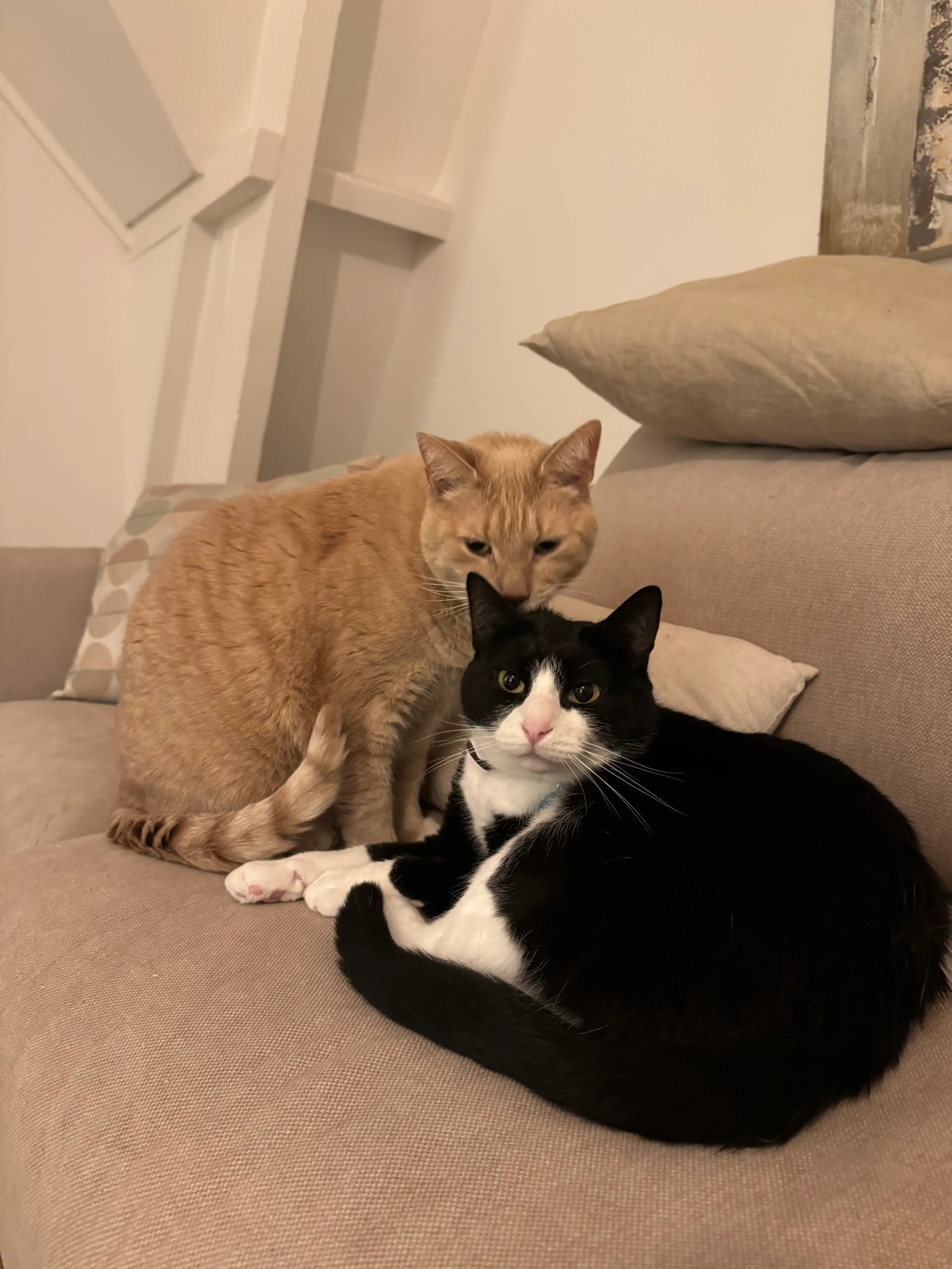 image-16