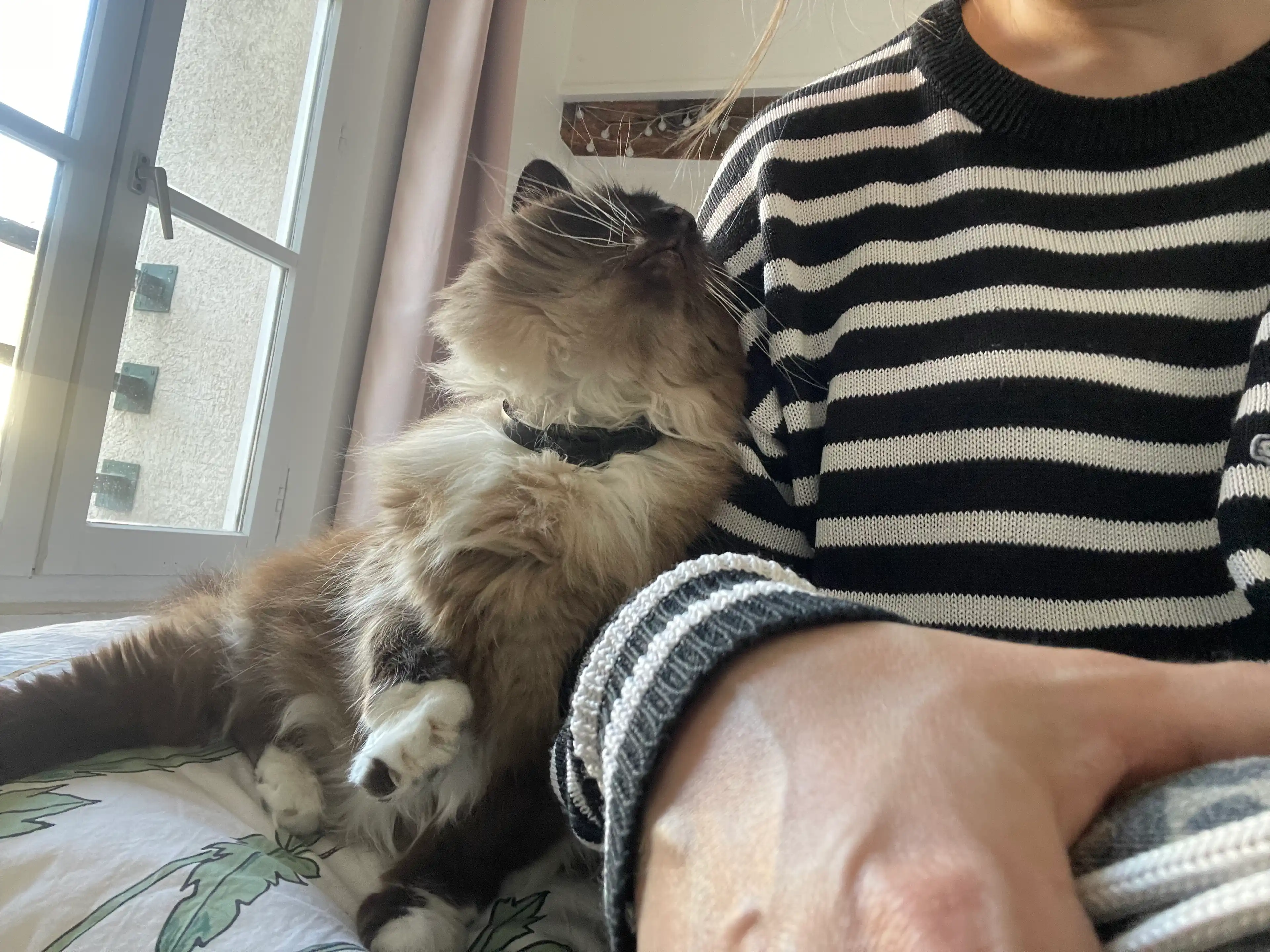 image-10