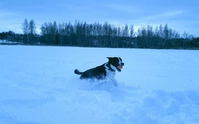 image-11