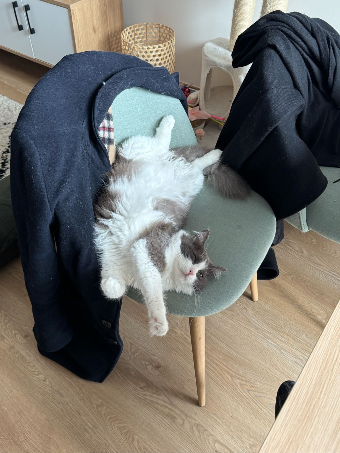 image-6