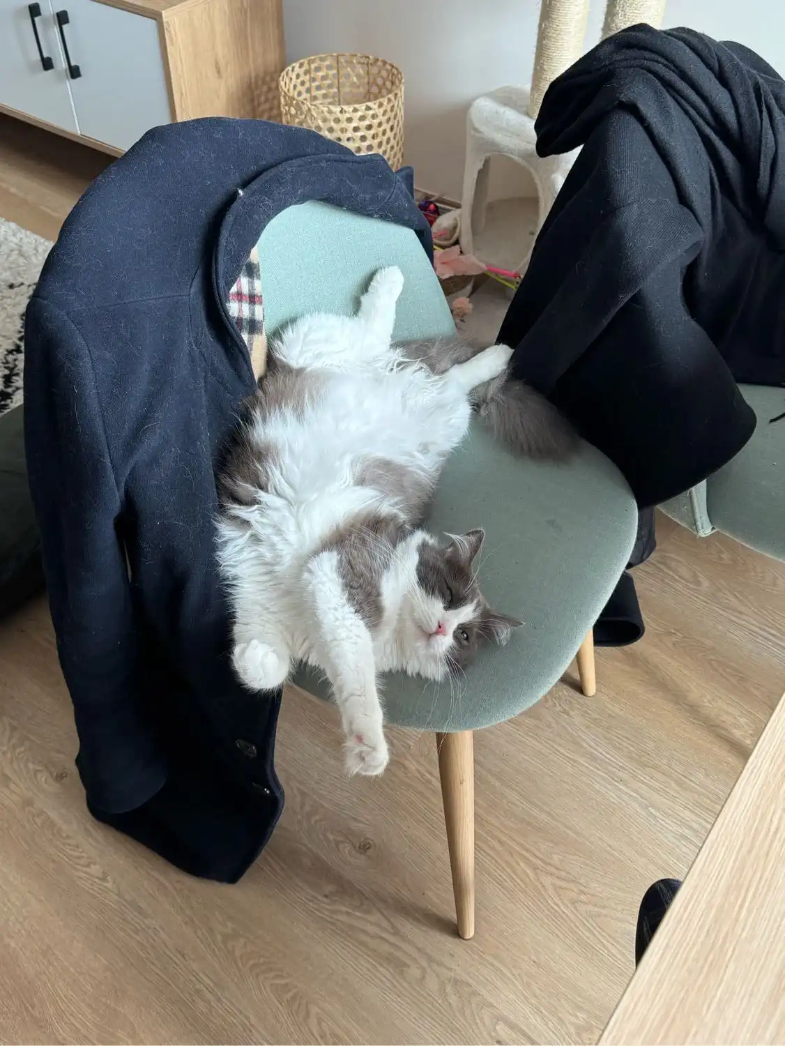 image-6