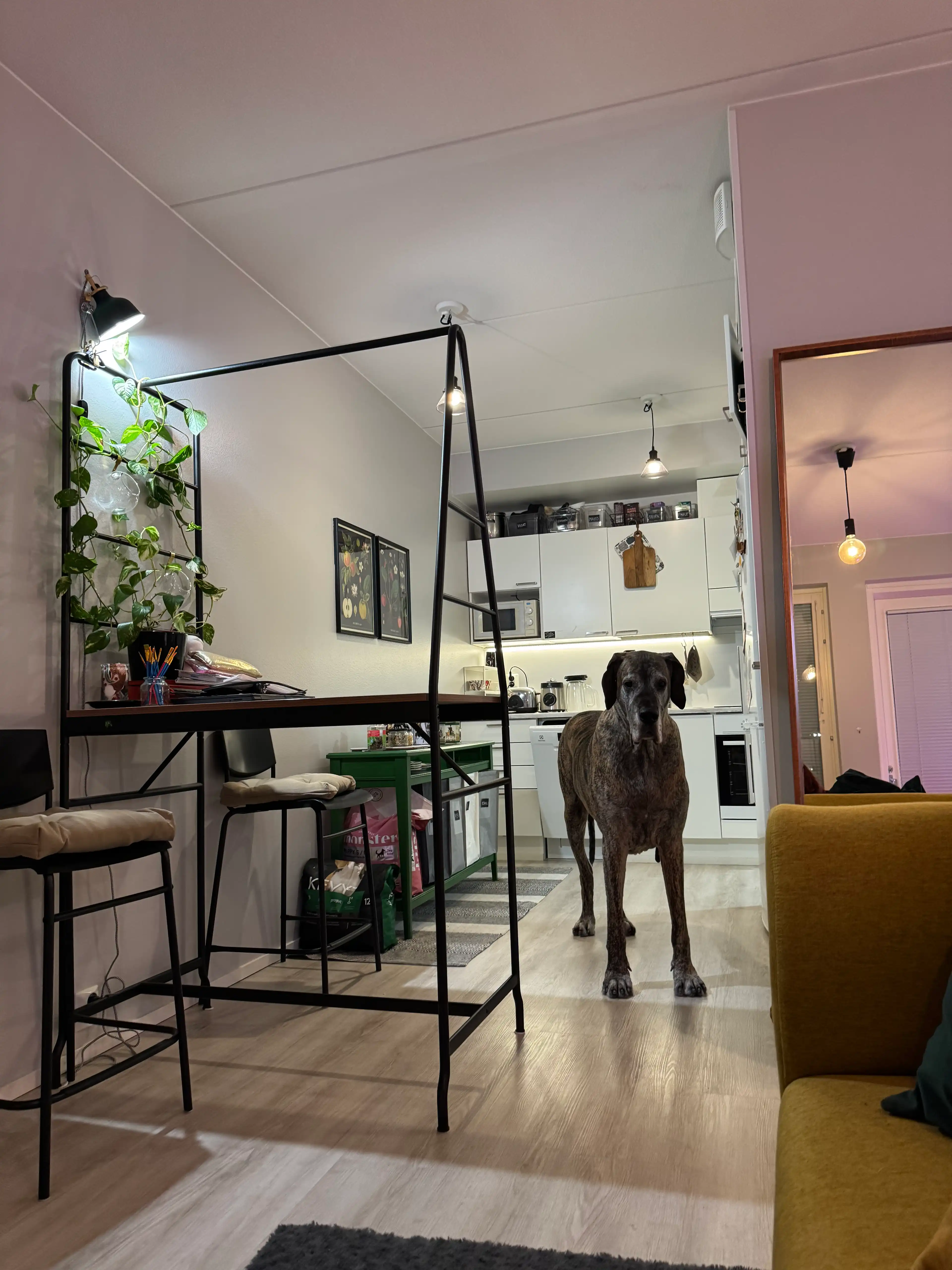 image-9