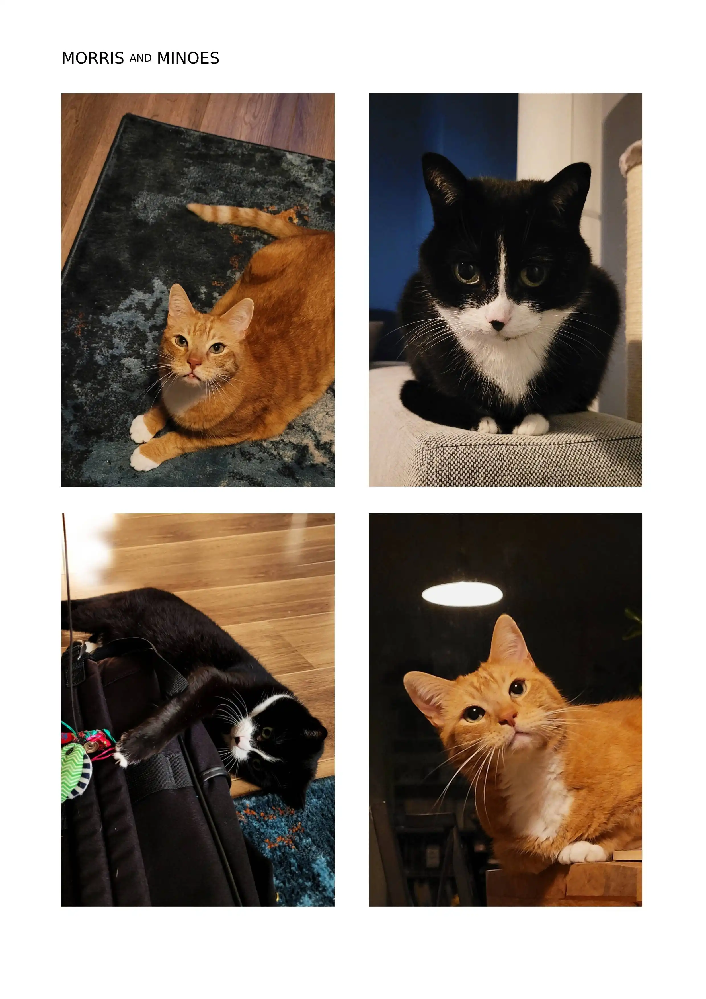 image-18