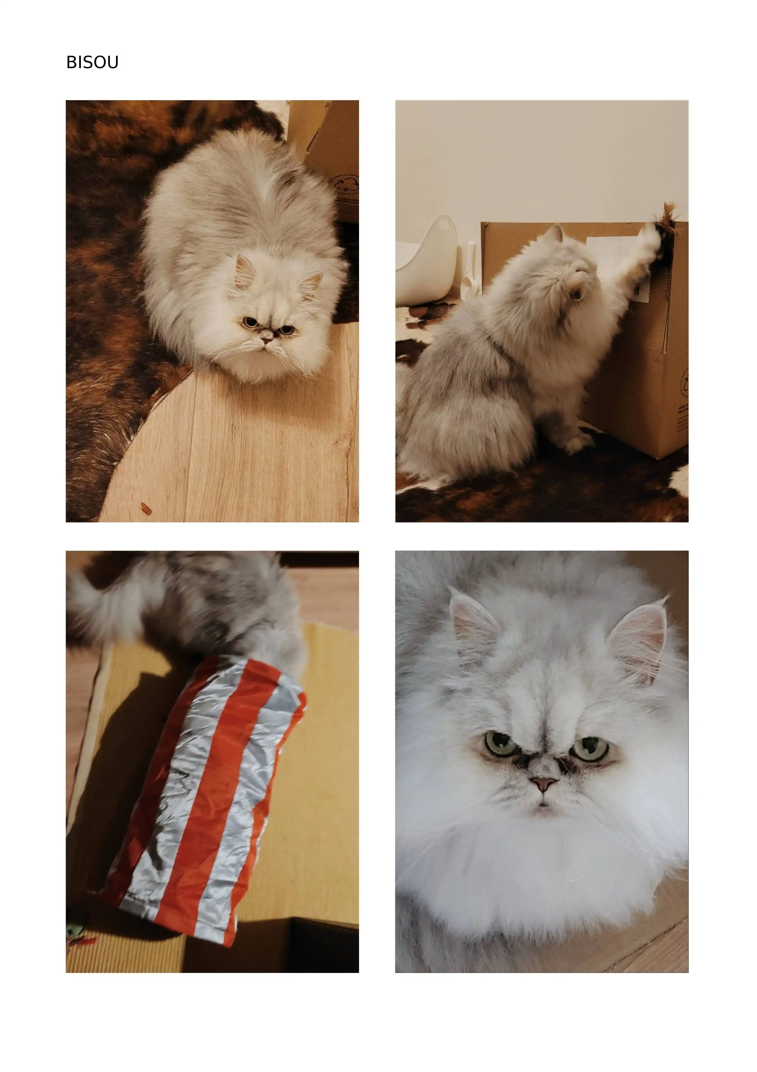image-16