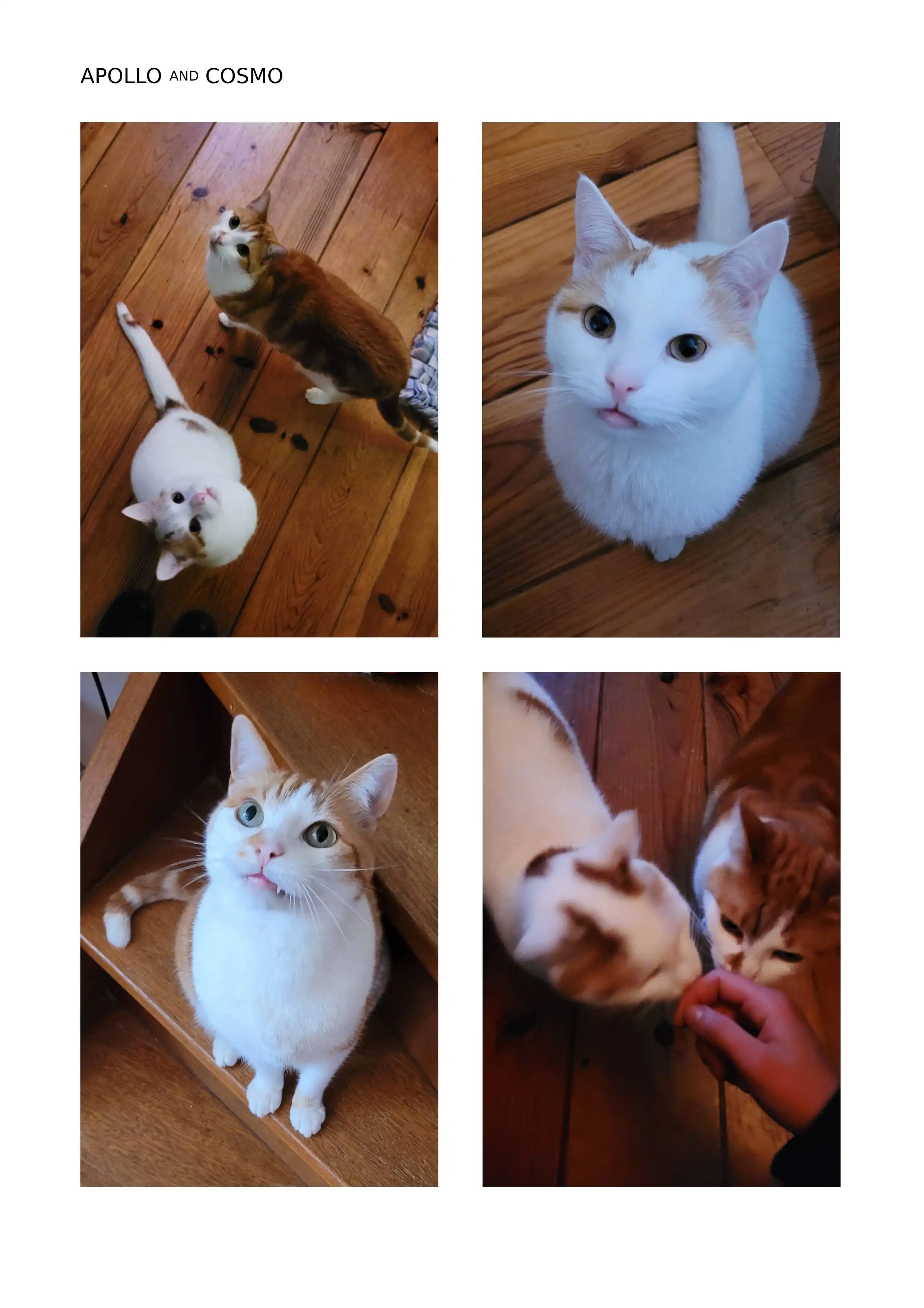 image-15