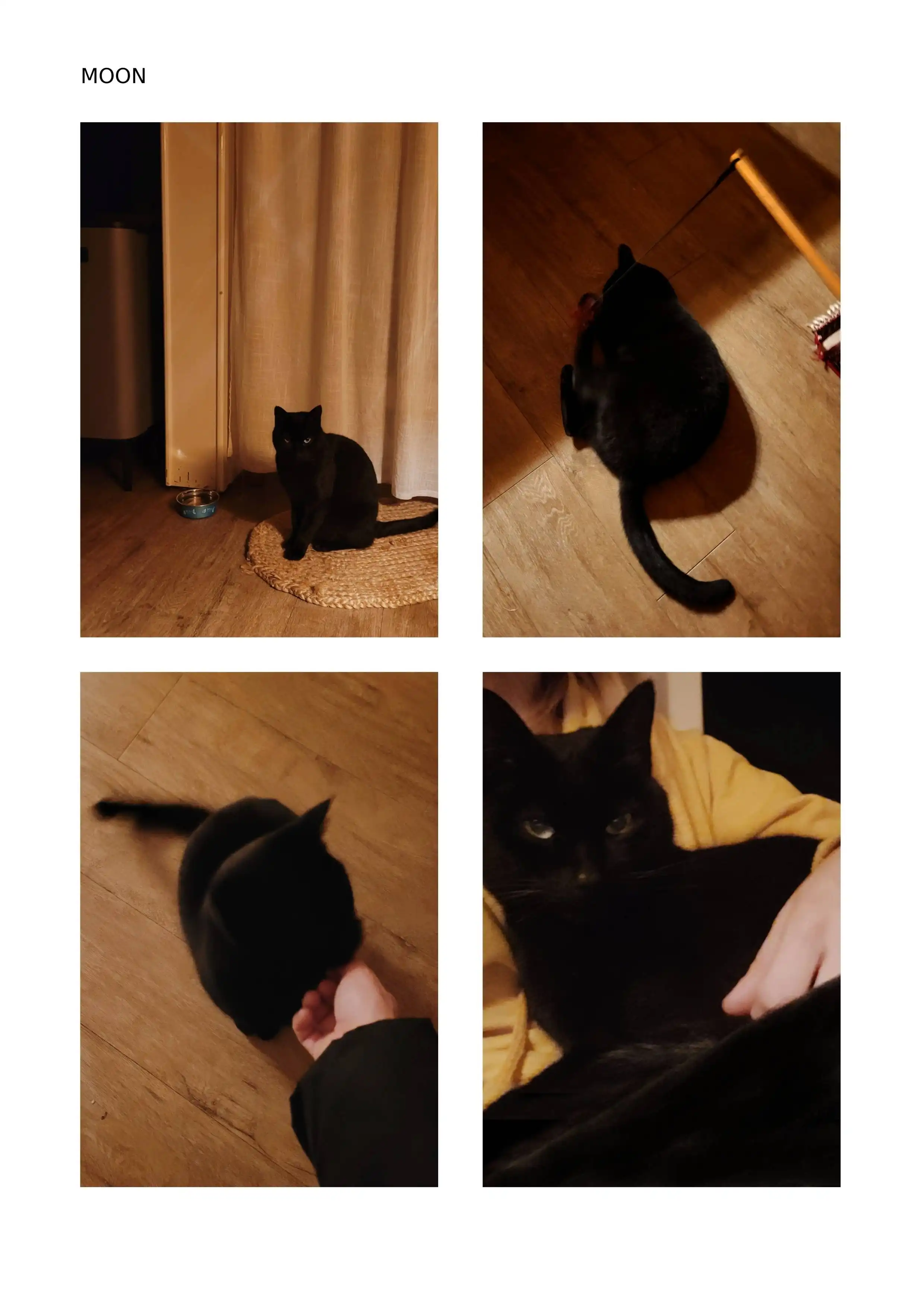 image-14