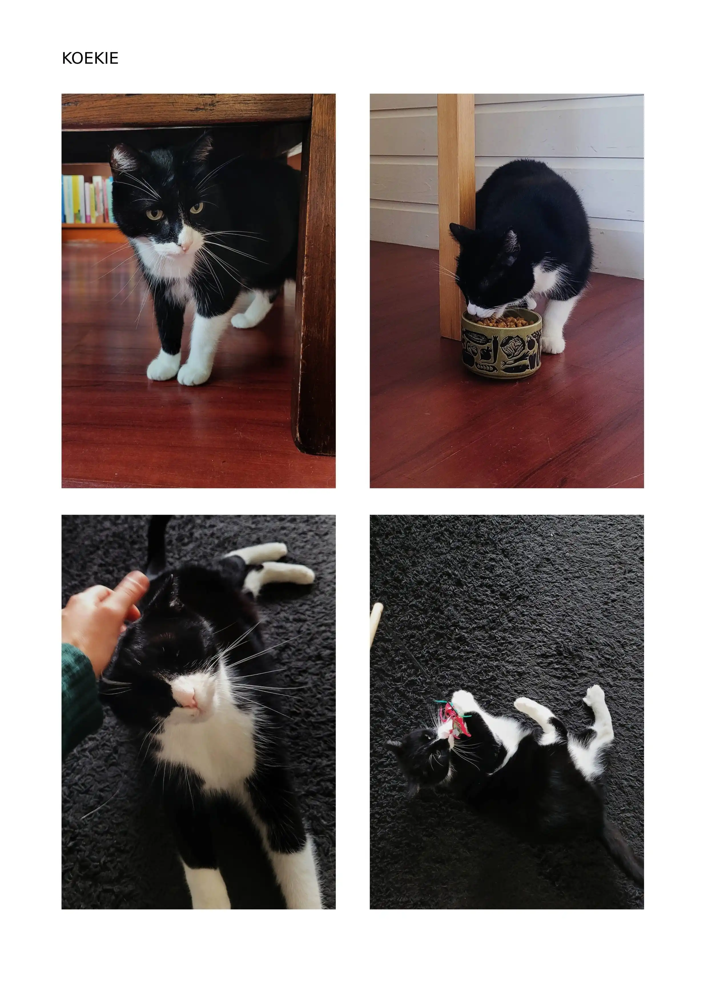 image-19