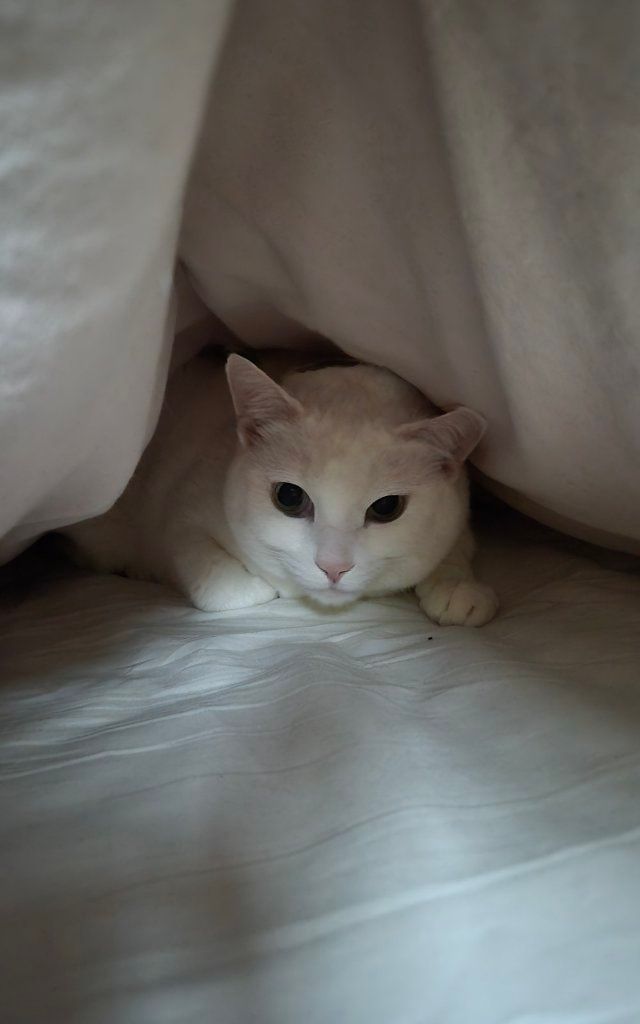 image-27